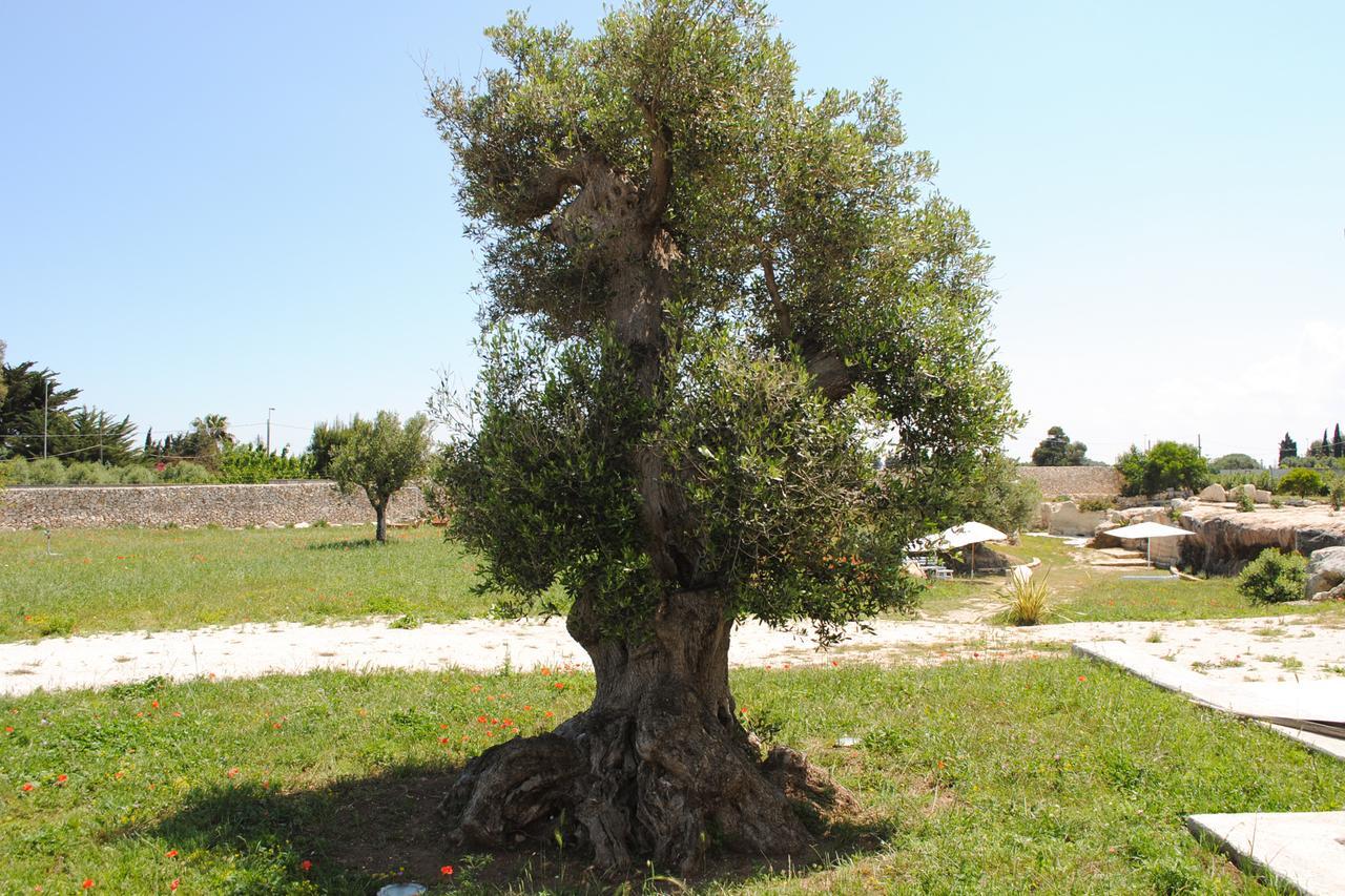 Masseria Gelsi Torre Chianca Esterno foto