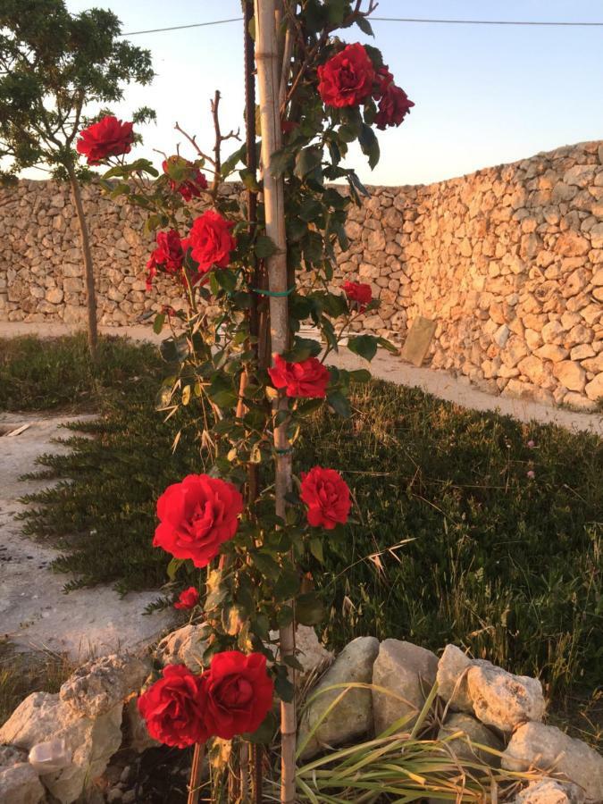 Masseria Gelsi Torre Chianca Esterno foto